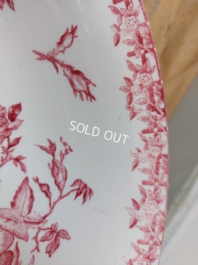 画像16: Eglantineジアン窯ベイスン