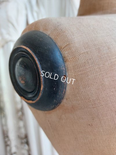 画像23: ナポレオン三世チャイルドトルソー