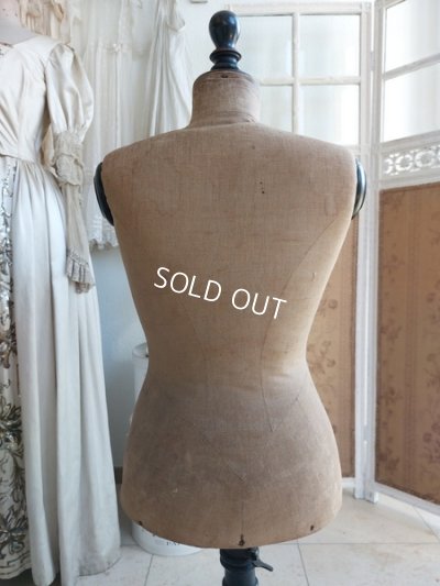 画像6: ナポレオン三世チャイルドトルソー