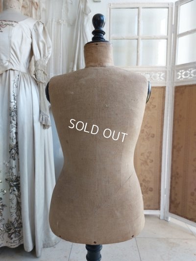 画像5: ナポレオン三世チャイルドトルソー