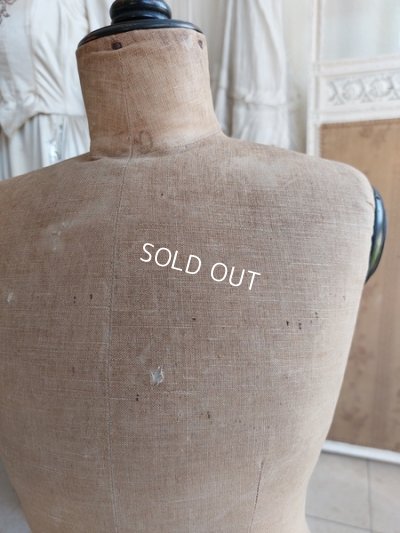 画像11: ナポレオン三世チャイルドトルソー