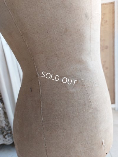 画像10: ナポレオン三世チャイルドトルソー