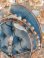 画像4: アンティークグローブドマリエガラスドーム