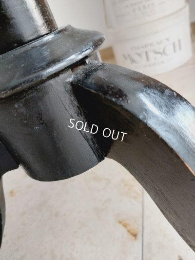 画像15: ヴィクトリアントルソー