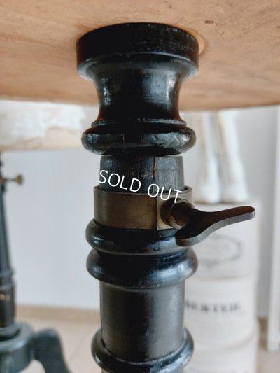 画像17: ヴィクトリアントルソー