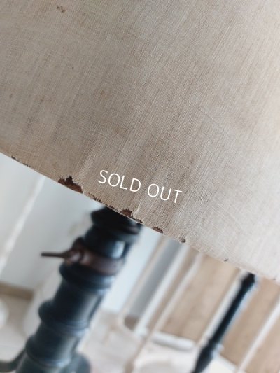 画像19: ストックマンヴィクトリアントルソー