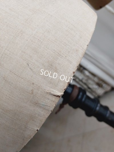 画像20: ストックマンヴィクトリアントルソー