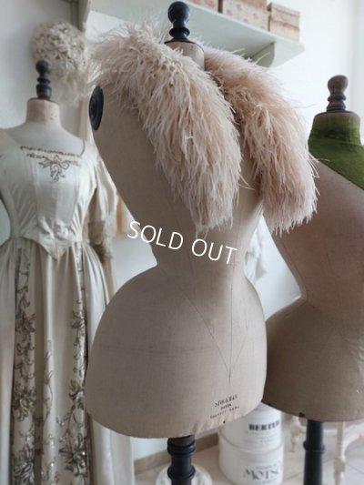 画像29: ストックマンヴィクトリアントルソー