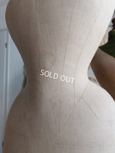 画像11: ストックマンヴィクトリアントルソー