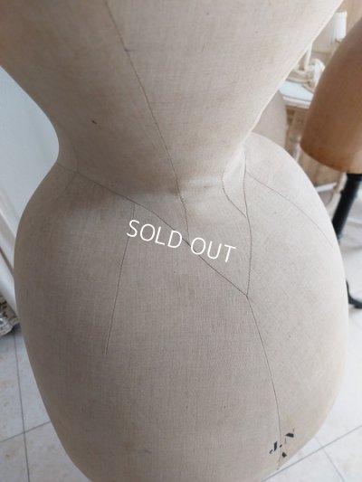 画像8: ストックマンヴィクトリアントルソー