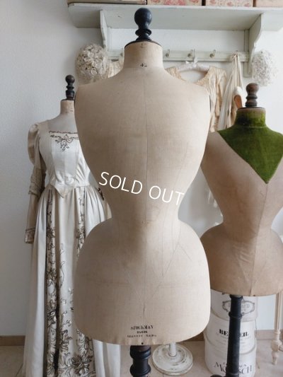 画像2: ストックマンヴィクトリアントルソー