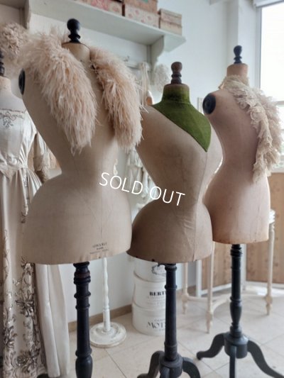 画像30: ストックマンヴィクトリアントルソー