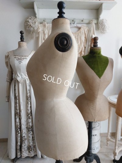 画像5: ストックマンヴィクトリアントルソー