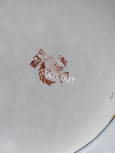 画像8: BFアンティークホーローローズ柄ペイル