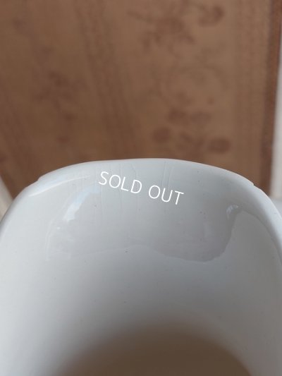 画像10: サルグミンヌEnfant Richardピッチャー