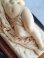 画像4: ナポレオン三世ガラスドーム付エンジェル像
