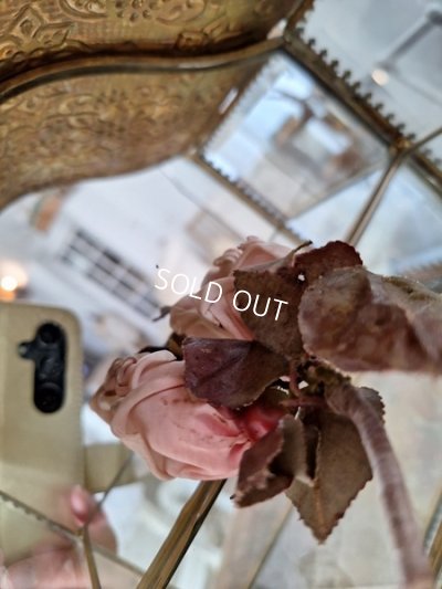 画像21: アンティークガラスケース