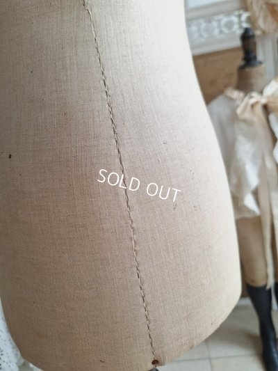 画像18: ストックマンチャイルドトルソー