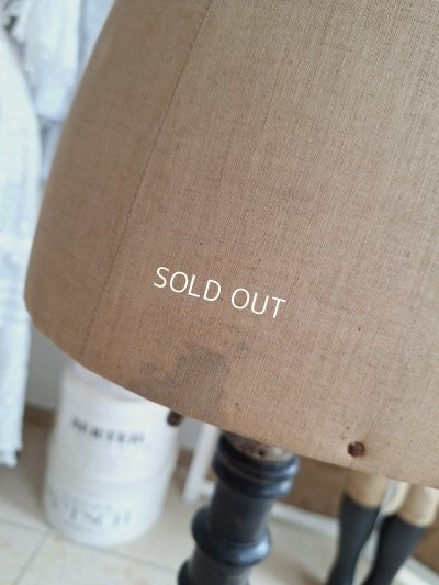 画像19: ストックマンチャイルドトルソー