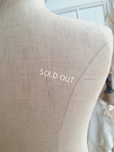 画像20: ストックマンチャイルドトルソー