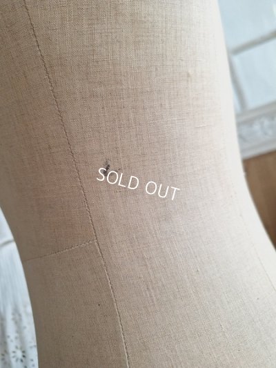 画像21: ストックマンチャイルドトルソー