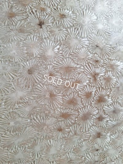 画像10: アンティークマリエガラスケース