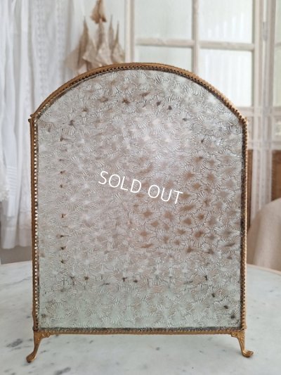 画像9: アンティークマリエガラスケース