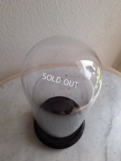 画像9: アンティークガラスドーム