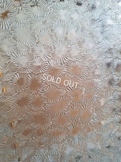 画像9: アンティークマリエガラスケース