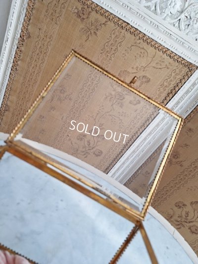 画像9: アンティークマリエガラスケース