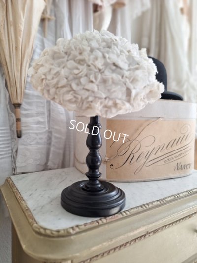 画像12: ナポレオン三世スタイルハットスタンド