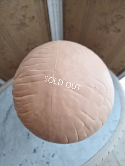 画像12: Twiggyマネキンヘッド