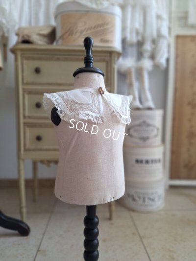 画像19: 小さなトルソー　