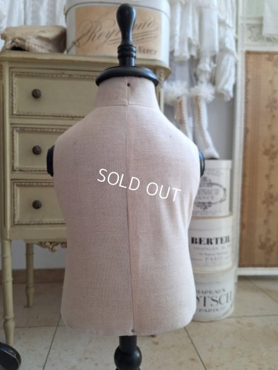 画像14: 小さなトルソー　