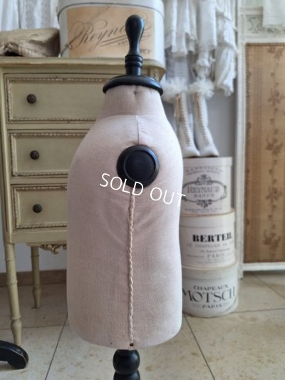 画像13: 小さなトルソー　