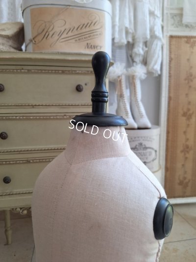 画像11: 小さなトルソー　