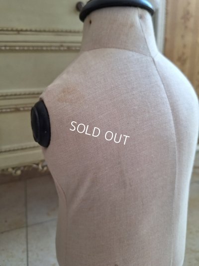 画像10: 小さなトルソー　