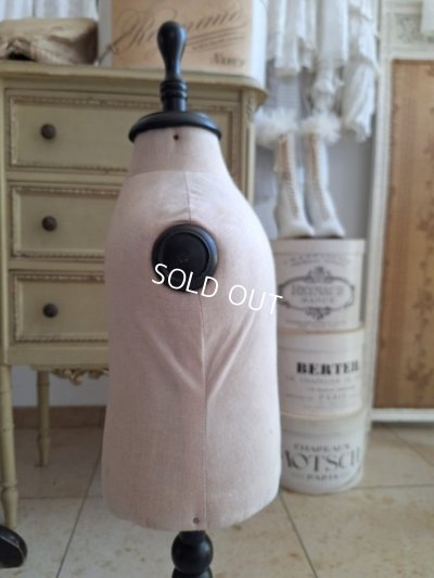 画像12: 小さなトルソー　