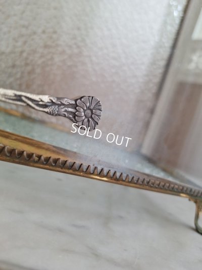 画像17: アンティークマリエガラスケース