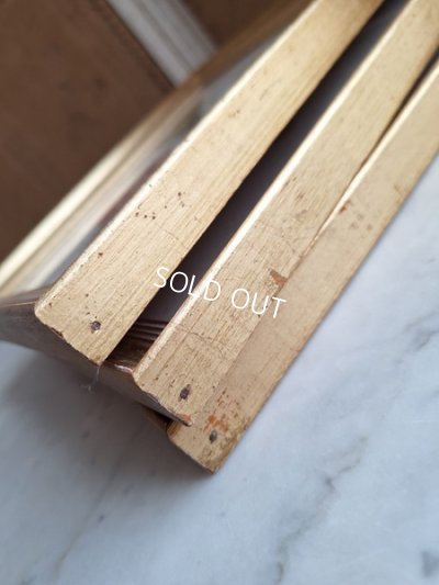 画像12: ルドゥーテローズ画セット