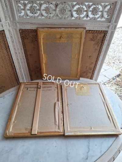 画像17: ルドゥーテローズ画セット