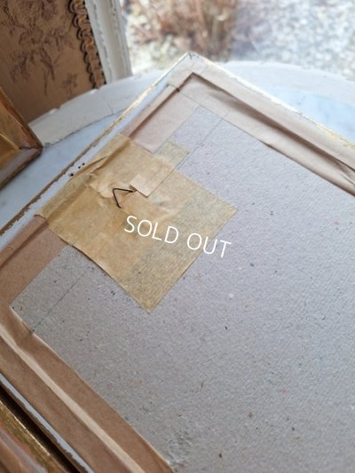 画像15: ルドゥーテローズ画セット