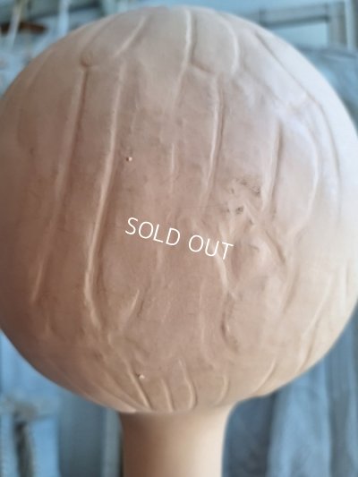 画像11: Twiggyマネキンヘッド