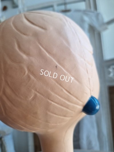 画像12: Twiggyマネキンヘッド