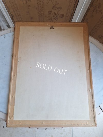 画像16: ルドゥーテローズ画セット