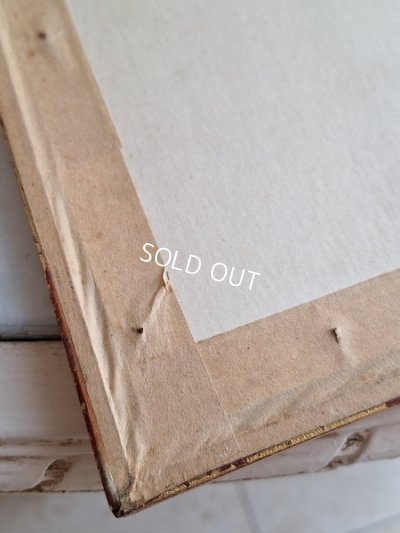 画像18: ルドゥーテローズ画セット