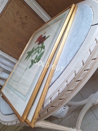 画像19: ルドゥーテローズ画セット