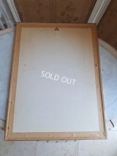 画像7: ルドゥーテローズ画セット