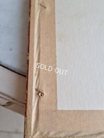 画像9: ルドゥーテローズ画セット