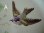 画像3: ホーロー製小鳥とローズ柄手描きプレート